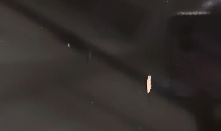 992202e.jpg